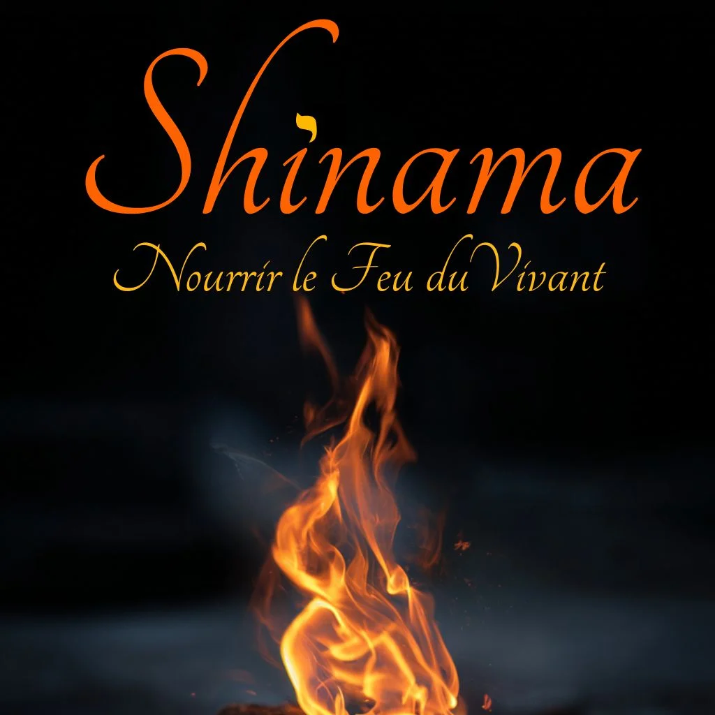 Live Shinama