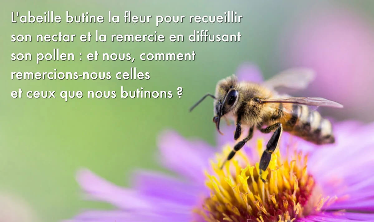 Une autre vision de l’argent